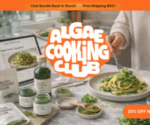 algae-cooking-club-img-1