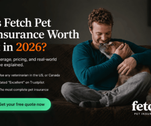 fetch-pet-insurance-img-1
