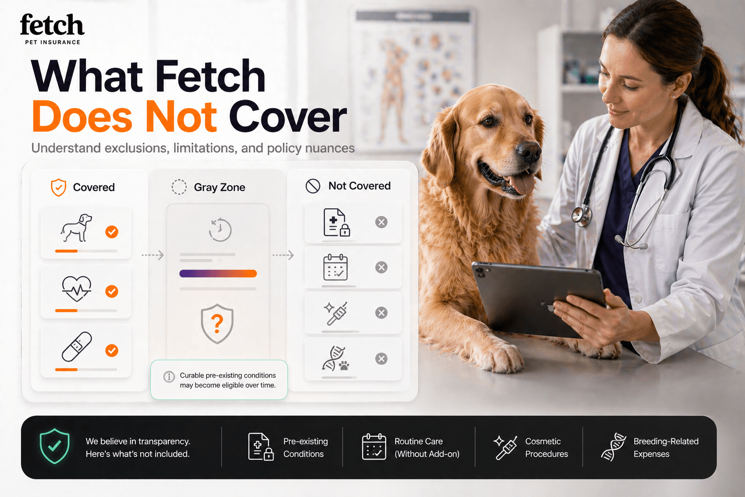 fetch-pet-insurance-img-6