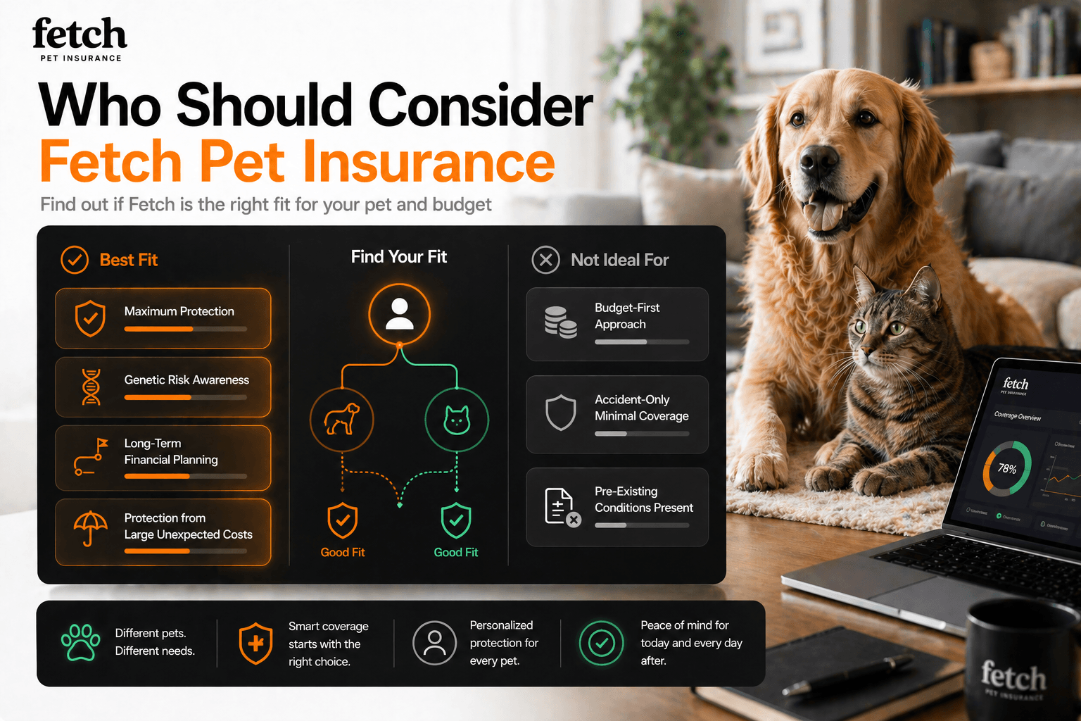 fetch-pet-insurance-img-9