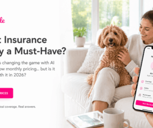 lemonade-pet-insurance-img-1