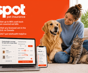spot-pet-insurance-img-1