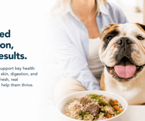 just-food-for-dogs-img-1