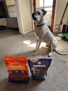 pawstruck-img-1