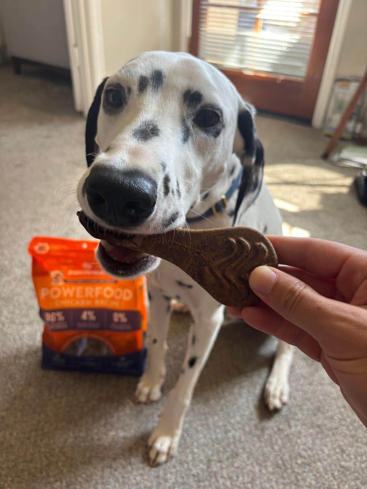 pawstruck-img-2