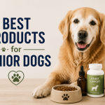 senior-dogs-img-1
